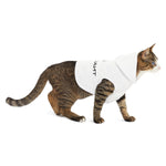 Be Brilliant Pet Hoodie